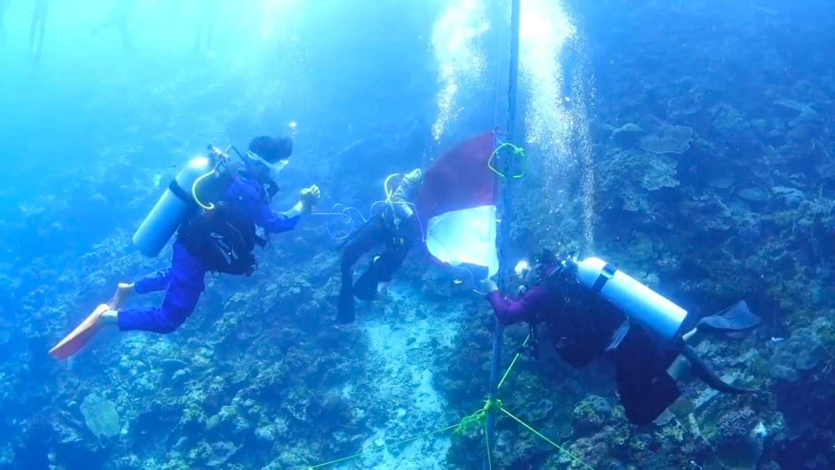 50 Penyelam Ikuti Upacara HUT ke-81 RI di Kedalaman 9 Meter Bawah Laut Wakatobi, Promosikan Wisata Bahari