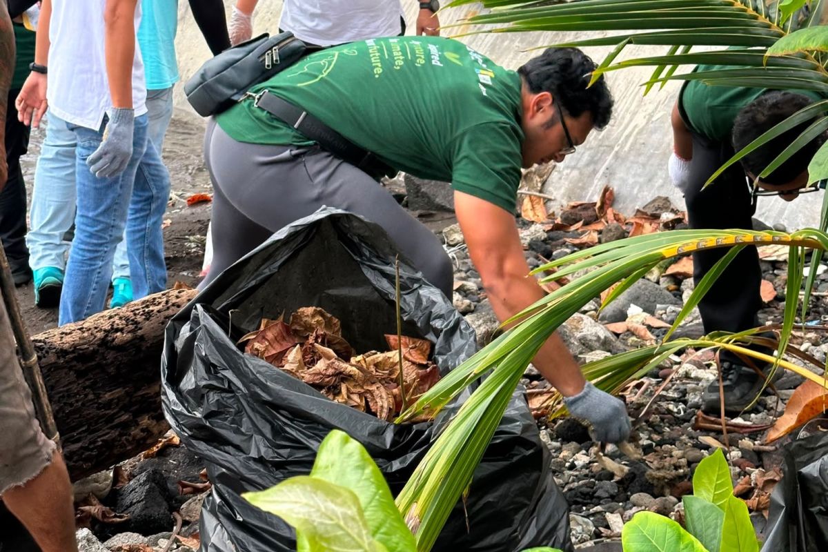 Gubernur Sulut Pimpin Aksi Bersih Sampah di Malalayang Beach Walk, PLN Tanam Mangrove Cegah Abrasi