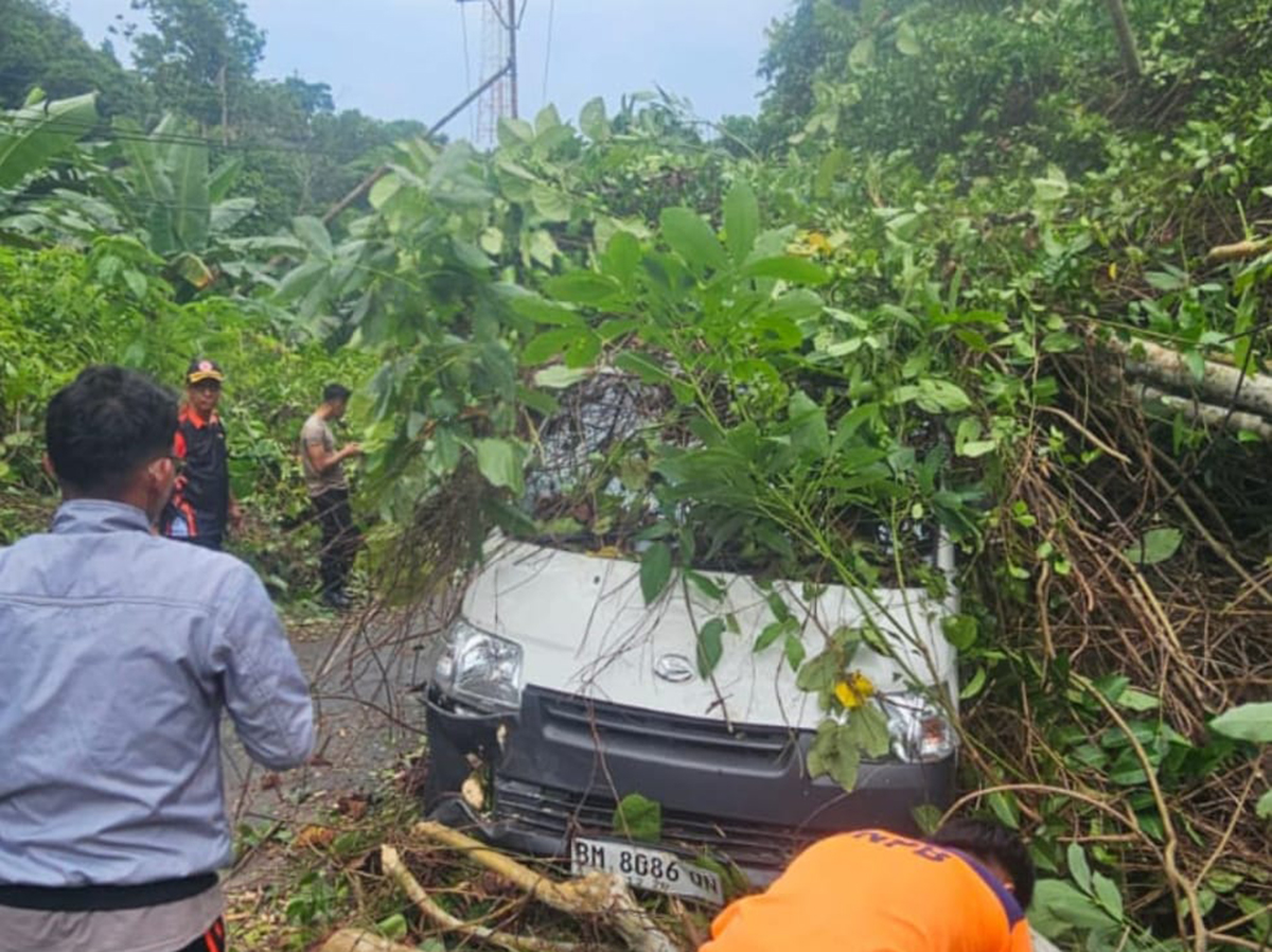 Mobil Ekspedisi SPX Tertimpa Pohon di Anambas, Dua Orang Selamat Tanpa Cedera, Kerugian Rp15 Juta