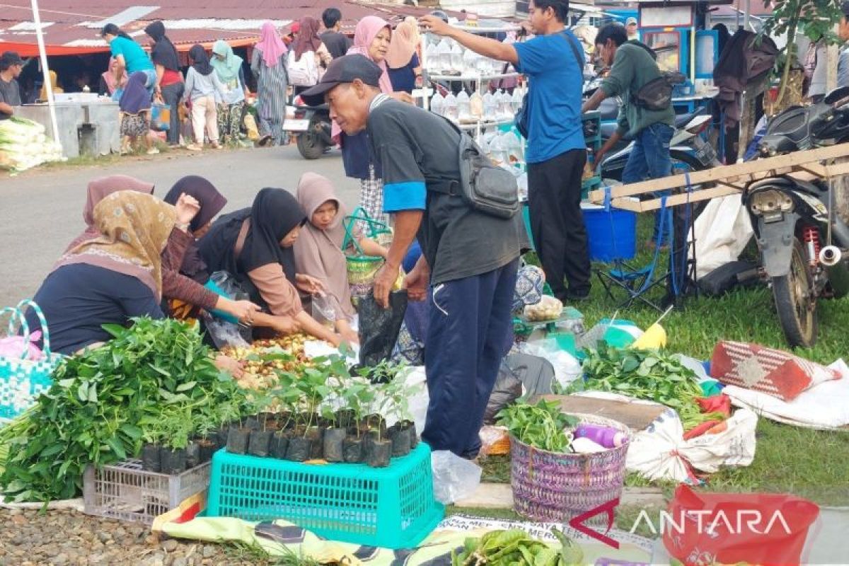 Inflasi Bengkulu Tembus 3,96 Persen, BPS Minta Pemda Fokus Jaga Harga Cabai hingga Telur