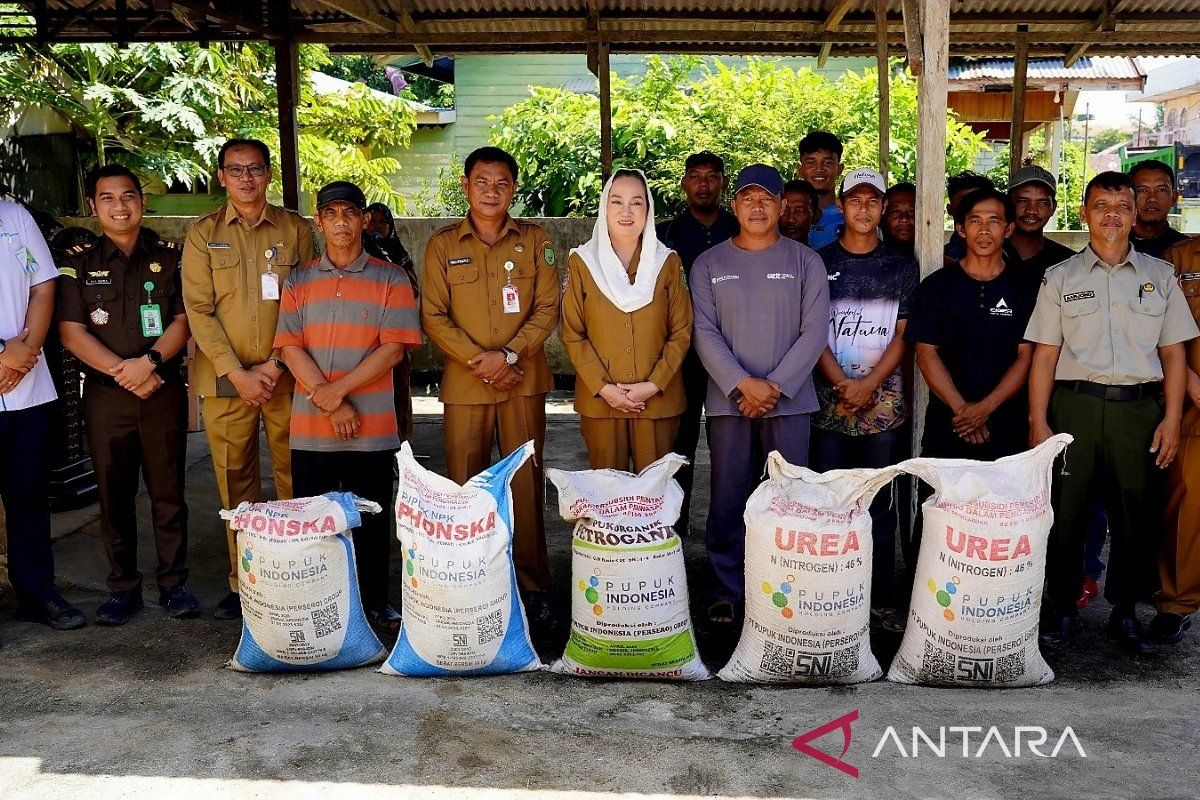 Pemkab Natuna Salurkan 188 Ton Pupuk Subsidi ke 733 Petani di Delapan Kecamatan, Tahap Kedua Mulai Juli 2026