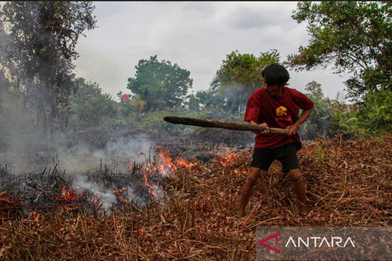 Karhutla di Palangka Raya Capai 422,91 Hektare Selama Status Siaga Darurat, Warga Padamkan Api Secara Manual