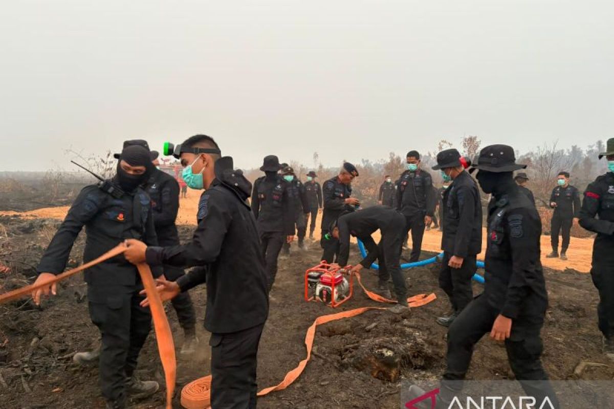 Kebakaran Lahan Gambut 80 Hektare di Muara Enim, Brimob Polda Sumsel Gunakan Metode Spiral dan Deteksi Bara di Malam Hari