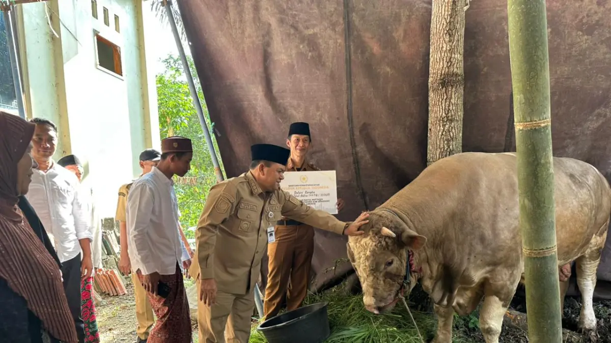 Sapi Presiden Prabowo Asal Semarang Bernama Untung Rahardjo Berbobot 1,48 Kilogram, Harganya Rp 103 Juta