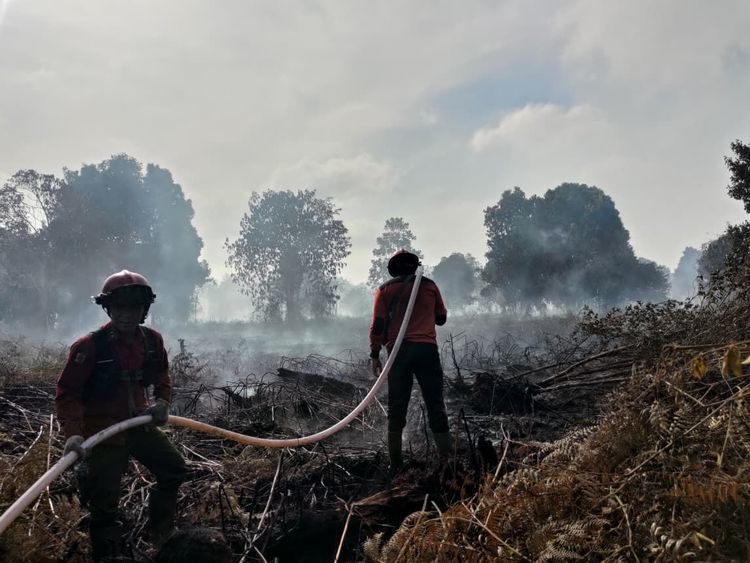 107 Kali Manggala Agni Padamkan Karhutla di Kalsel, Luas Lahan Terbakar Capai 321 Hektare Sepanjang 2026
