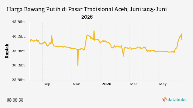 Harga Bawang Putih di Pasar Tradisional Aceh Turun Jadi Rp38.750 per Kg, Cabai Rawit Justru Meroket 12,59%