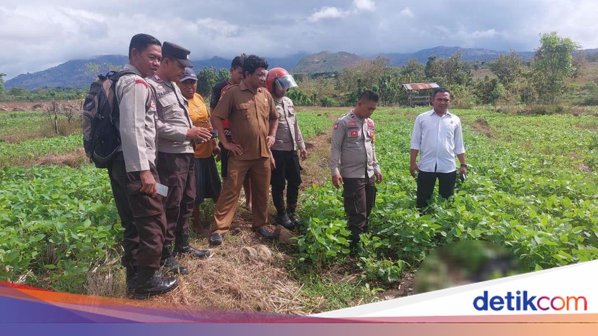 Siswa SMKN 1 Bolo Ditemukan Tewas di Area Persawahan Bima, Tubuh Menghitam dan Wajah Luka-luka