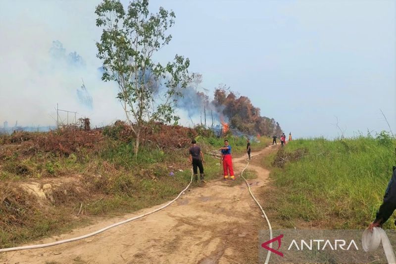 Kabut Asap Karhutla Sebulan Lumpuhkan Penerbangan ke Muara Teweh, Jarak Pandang Cuma 100 Meter