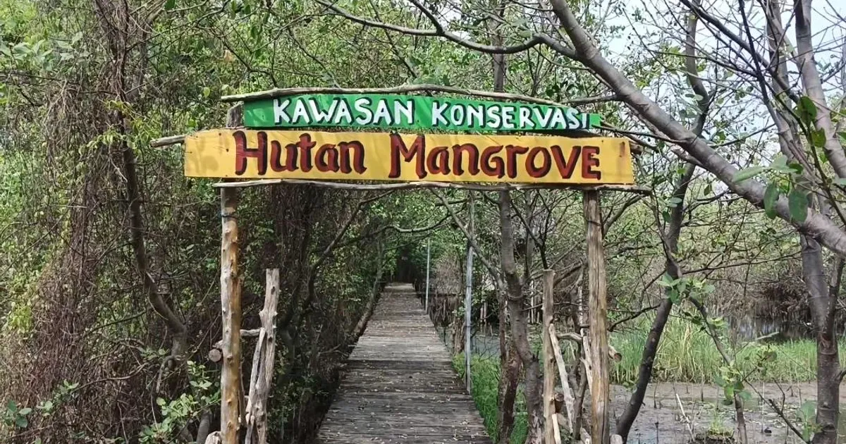 Warga Mulyosari Pekalongan Sulap Lahan Terendam Rob Jadi Ekowisata Mangrove, Raih Nominasi Kalpataru