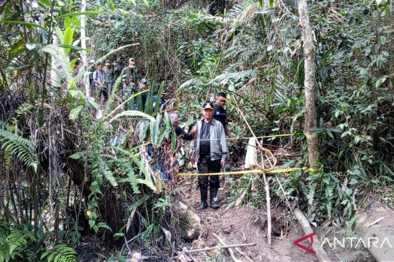 Bupati Sigi Minta Aparat Tindak Tegas Tambang Emas Ilegal Kangkuro yang Kembali Beroperasi Usai Dua Kali Ditutup