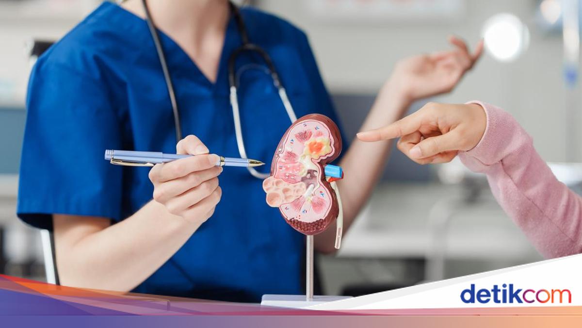 Kemenkes dan Yayasan Khouw Kalbe Buka Beasiswa SEHAT 2026, Mahasiswi Poltekkes Dapat Bantuan Rp 10 Juta per Semester
