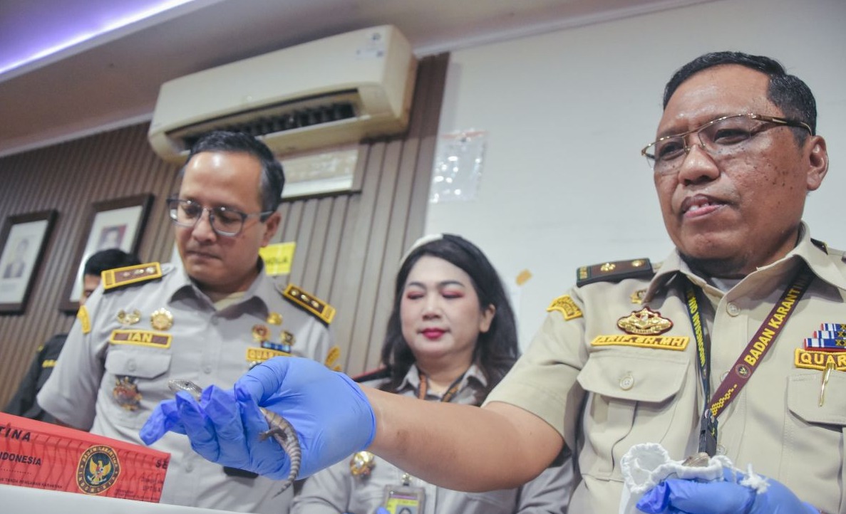 Barantin Banten Gagalkan Penyelundupan 10 Satwa Thailand