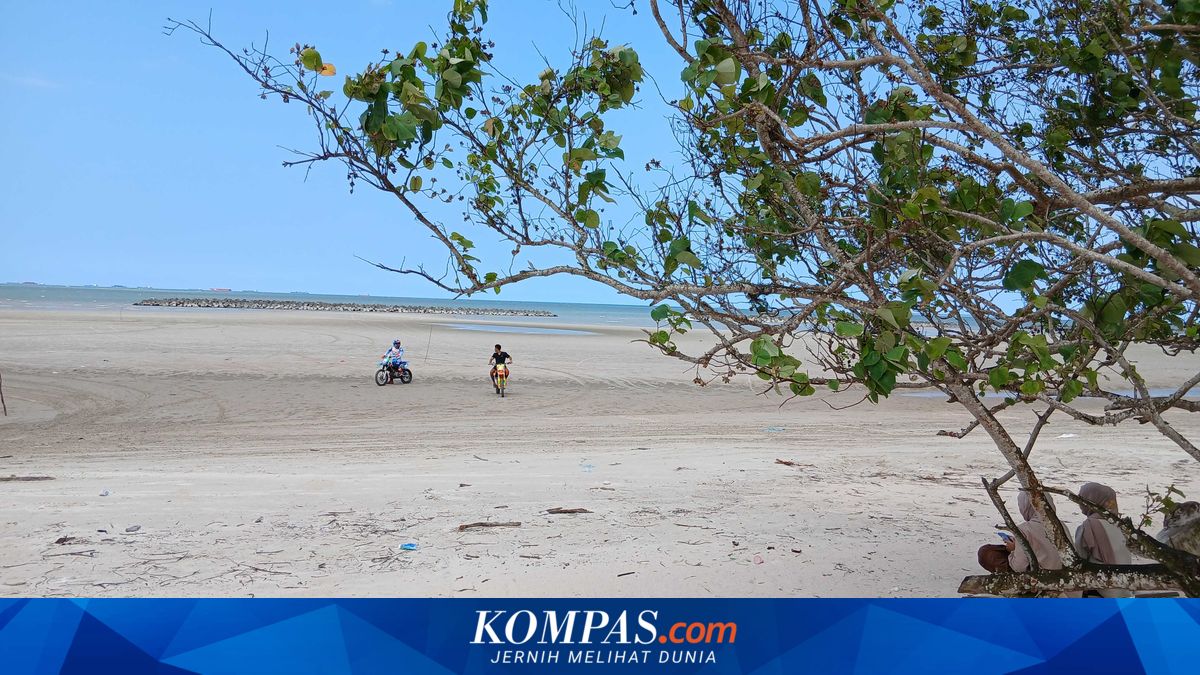 12.507 Hektare Lahan di Bangka Belitung Tumpang Tindih Izin Tambang, Gubernur Dorong