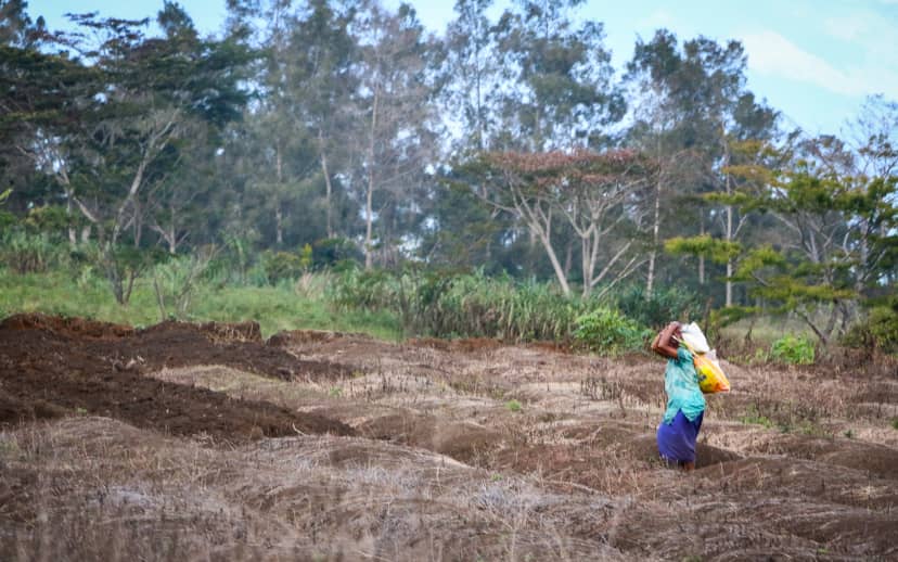 Gubernur Dataran Tinggi Barat PNG Akui Provinsinya Tak Siap Hadapi El Niño, Sungai Sumber Air Mulai Mengering
