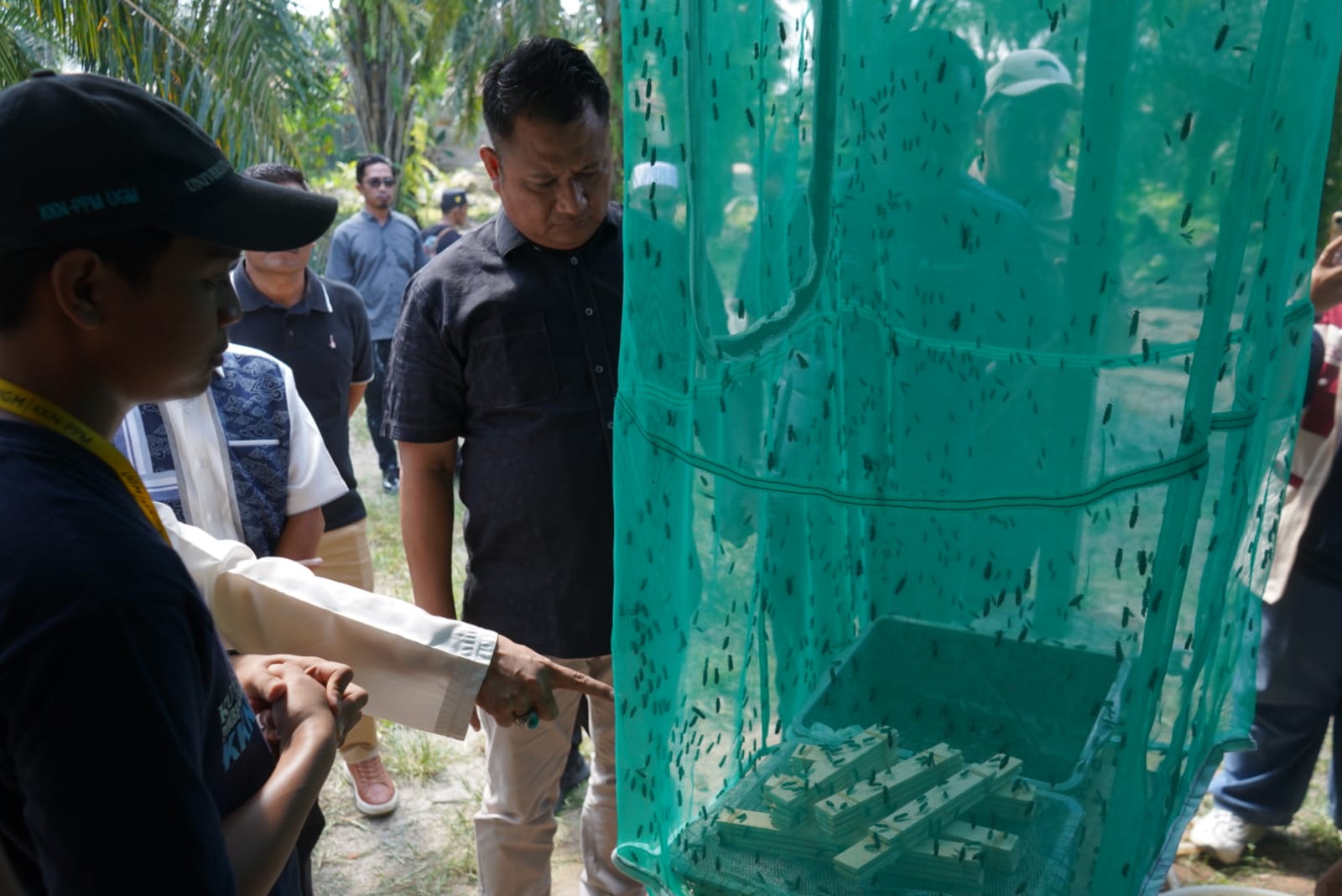 Mahasiswa UGM KKN di Asahan Ubah Sisa Makanan Pesantren Jadi Pakan Ternak, Wabup Tinjau Langsung