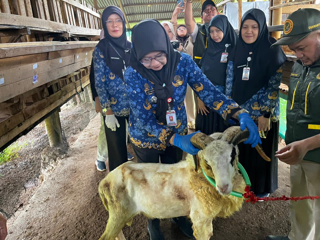 Pemprov Lampung Siagakan 1.229 Petugas Awasi Hewan Kurban Iduladha 2026, Targetkan Daging ASUH