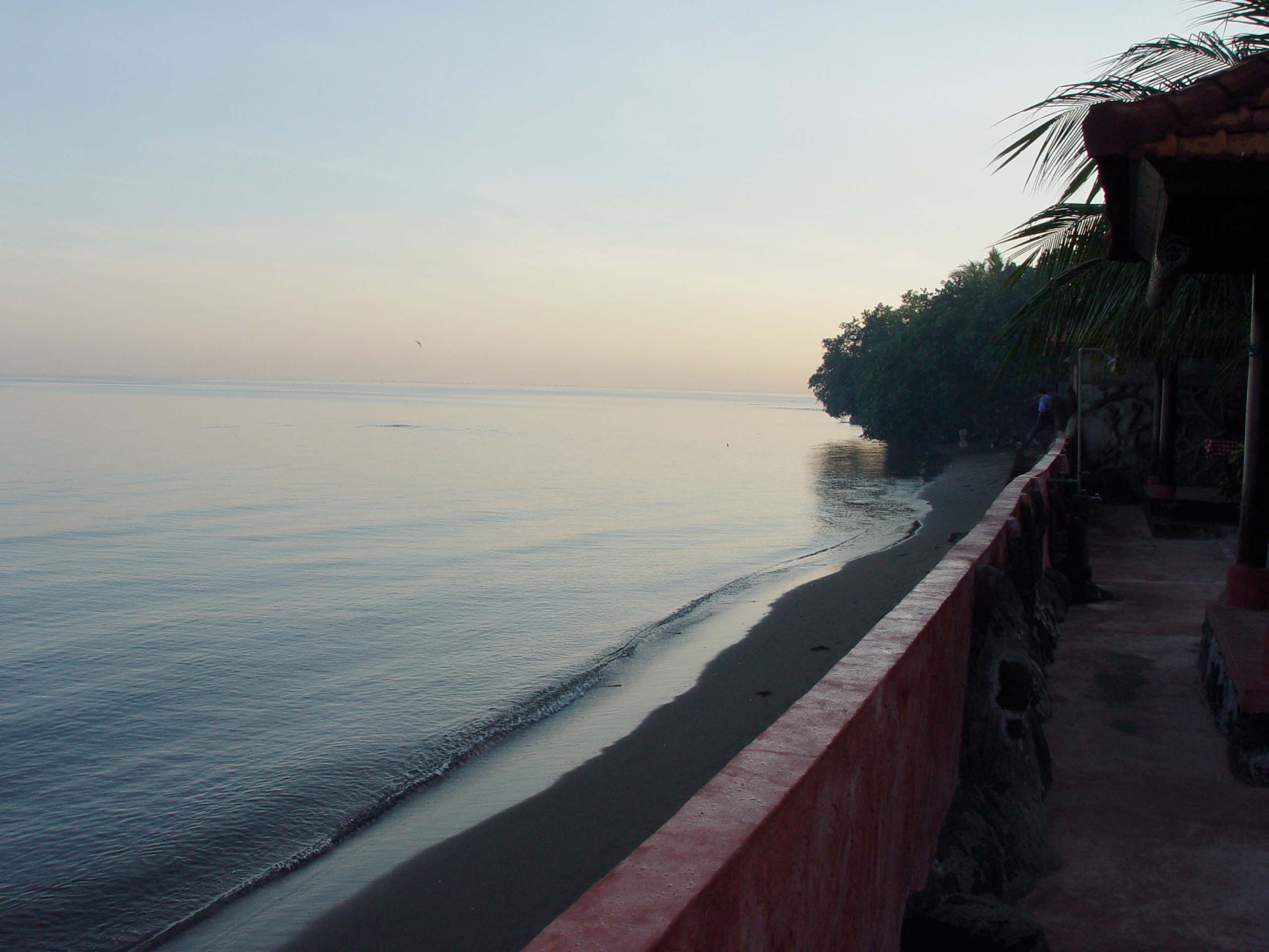 3 Pesona Wisata Bali Utara, dari Lovina hingga Danau Beratan Bedugul