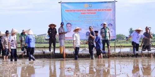 Bupati Pangkep Yusran Lalogau Targetkan Panen Padi 9 Ton per Hektare