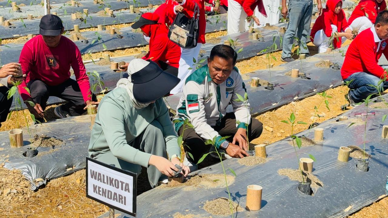 Wali Kota Kendari Siska Karina Imran Pimpin Penanaman 1.000 Pohon Cabai di Pekarangan Perkantoran untuk Tekan Inflasi