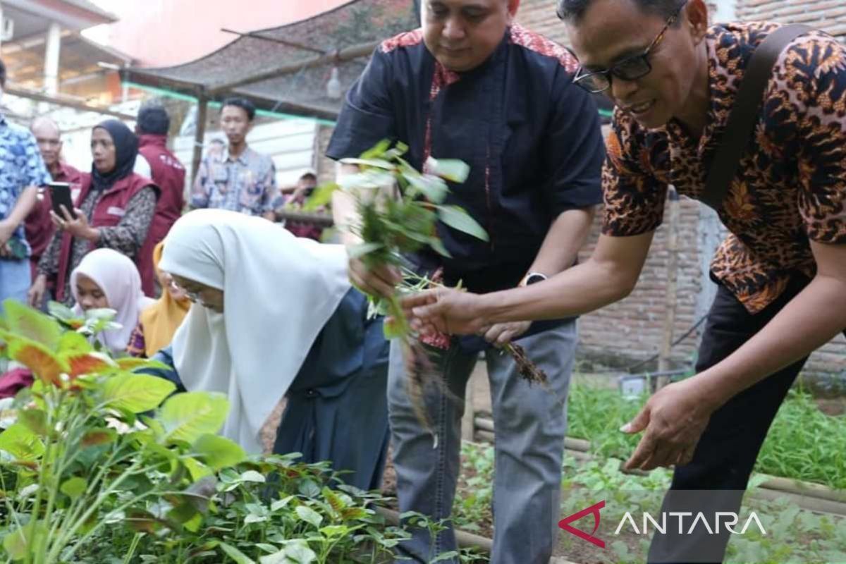 Wali Kota Makassar Dorong Warga Manfaatkan Lahan Sempit Lewat Urban Farming, Targetkan 50 Titik Baru di Kecamatan Tallo
