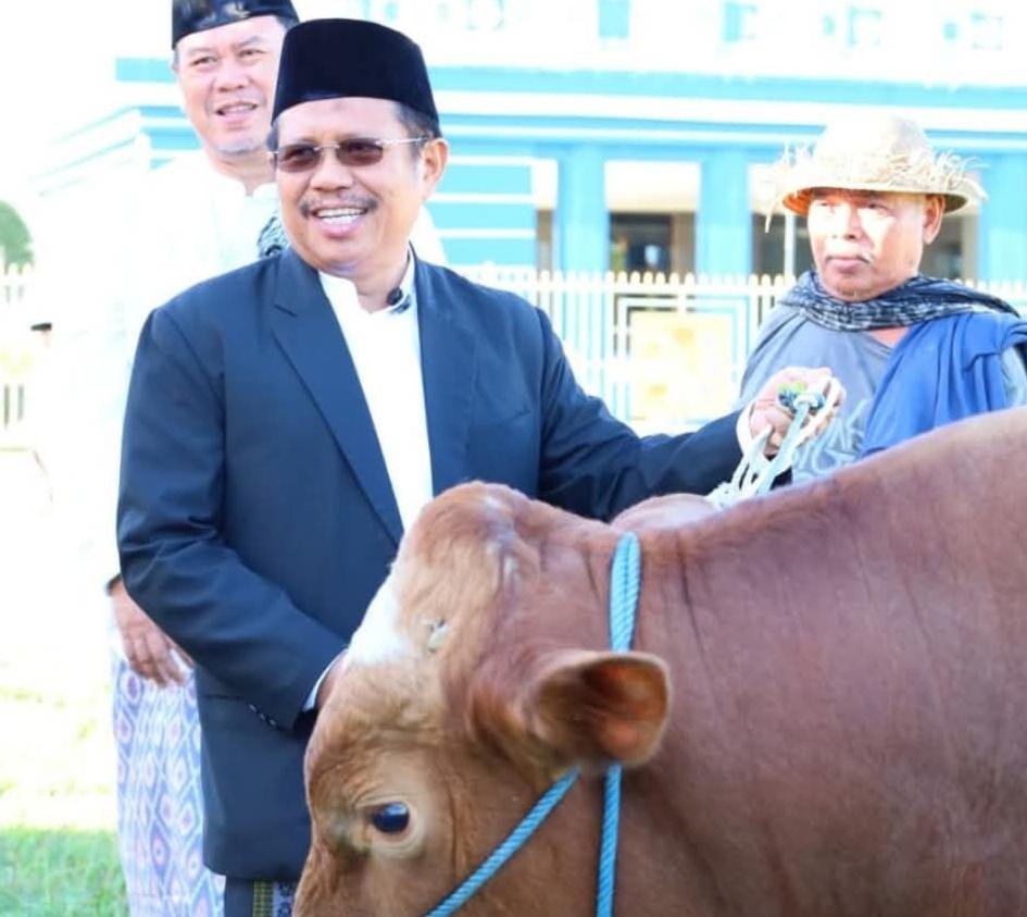 Bupati Lombok Barat Lalu Ahmad Zaini Serahkan 48 Ekor Hewan Kurban, Ajak Masyarakat Berkorban Total untuk Daerah