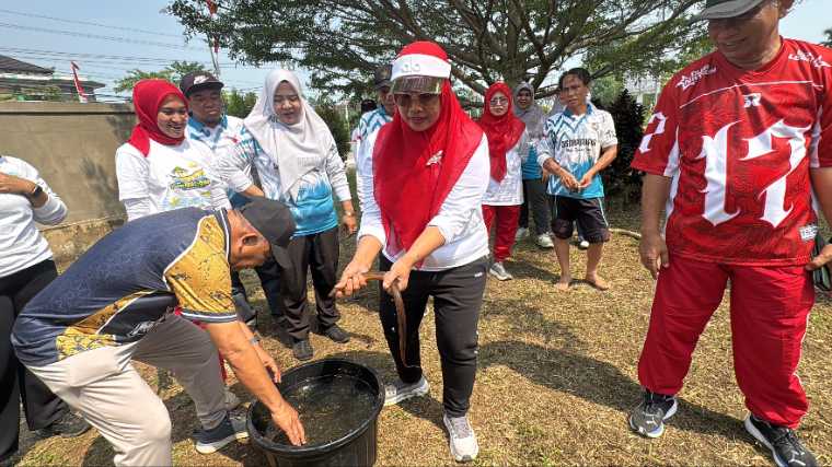 Bupati dan Wabup Mempawah Adu Cekatan Tangkap Belut di HUT ke-81 RI, Juli Suryadi Menang 7-6
