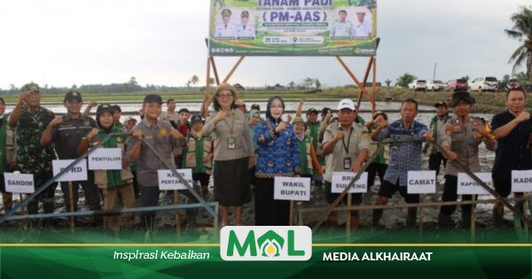 Wabup Morowali Dorong Petani di Bumi Raya Terapkan Sistem Tanam Padi PM-AAS, Target Produktivitas 10 Ton per Hektare