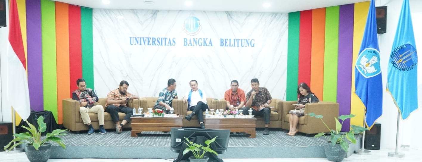 Dosen Polman Babel Paparkan Data Defisit Listrik 56 MW di Depan Komisi XII DPR RI, Dorong EBT untuk Atasi Kekurangan Pasokan
