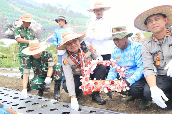 Kapolda Aceh Tanam Bawang Putih di Lahan 1,75 Hektare Aceh Tengah, 147 Petani dari 7 Kelompok Tani Terlibat
