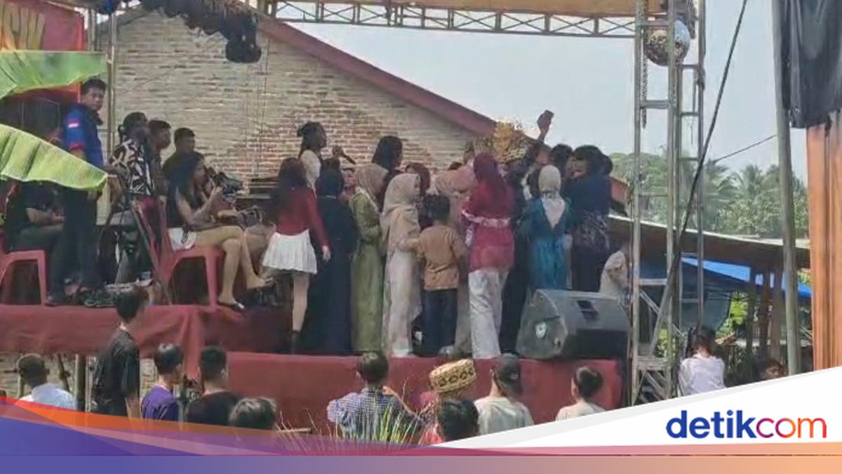 Pesta Pernikahan di Lampung Selatan Diserbu Tawon Vespa, Suara Organ Tunggal Diduga Jadi Pemicu