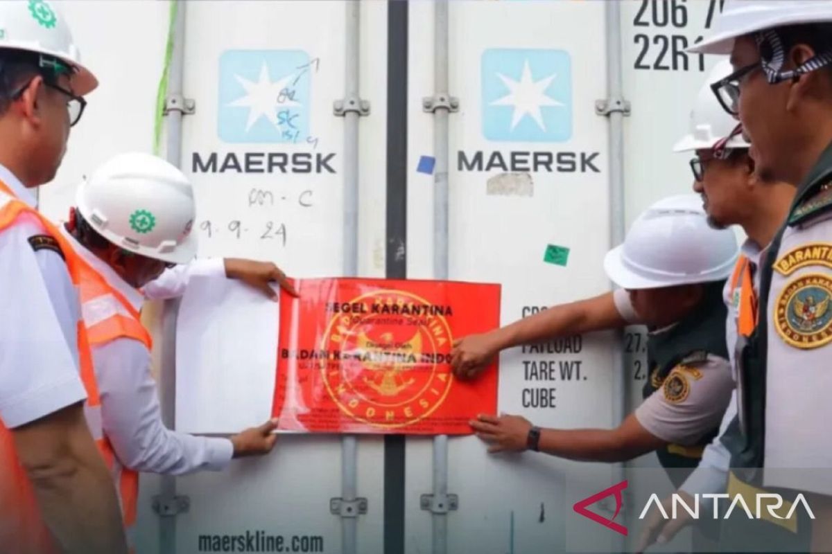 BKHIT Maluku Kawal Ekspor 11,6 Ton Tuna Beku ke Thailand, Nilai Capai Rp1,08 Miliar