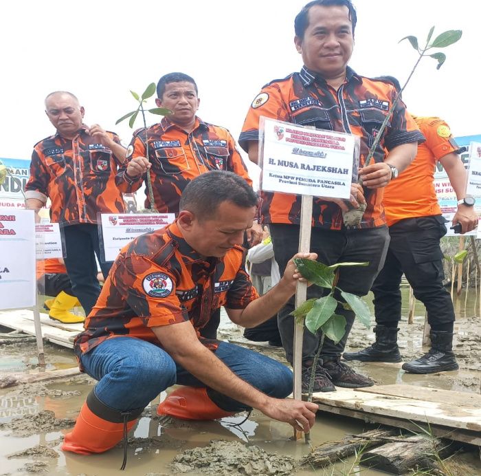 Ijeck Ajak Ribuan Kader Pemuda Pancasila Sumut Tanam Mangrove di Sergai, Minta Basarnas Latih SAR Hingga ke Basis Bawah