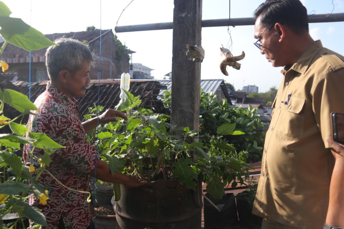 Warga Gemblakan Yogyakarta Panen Bawang Merah dari Galon Bekas, Wagub Sebut Solusi Lahan Sempit