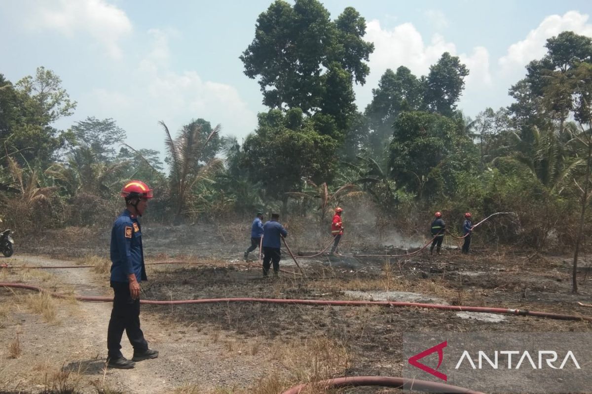 Damkar Lampung Selatan Padamkan Dua Titik Karhutla di Kalianda, Angin Kencang dan Rumput Kering Percepat Api Menjalar