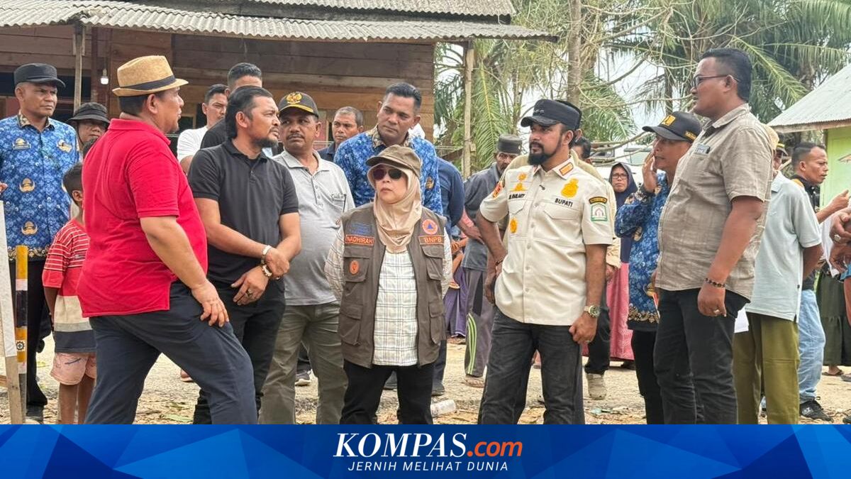Jaringan Irigasi DI Jambo Aye di Aceh Timur Rusak Diterjang Banjir, 12 Desa dan 350 Hektare Sawah Terancam Gagal Tanam