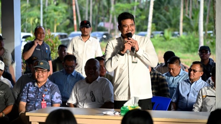 Bobby Nasution Siapkan Rumah Produksi Kelapa di Nias Utara, Anggaran Rp 2 Miliar untuk Petani Lokal