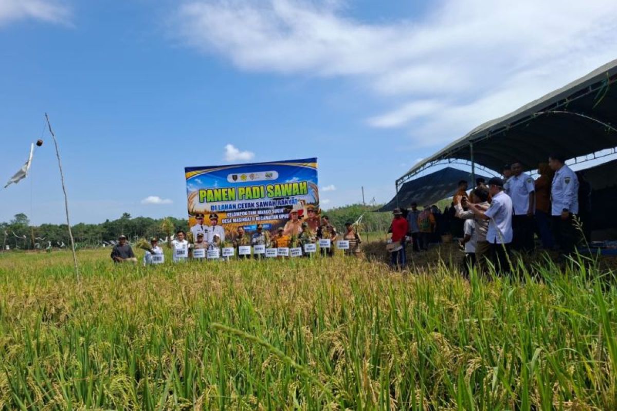 5 Berita Ekonomi dan Kesra di Kalimantan Selatan, dari Disbunnak Optimalkan KDMP hingga Panen Perdana di Lahan CSR
