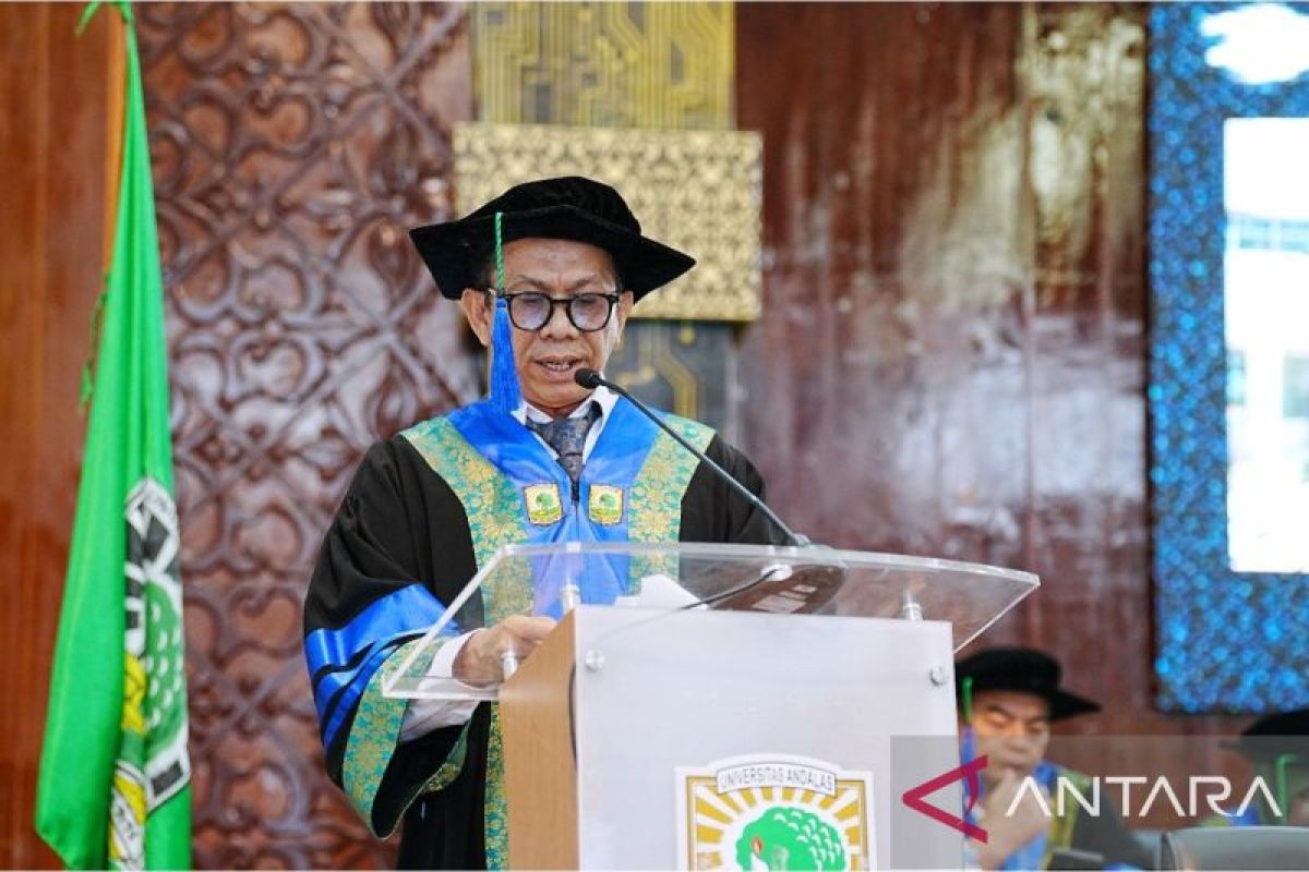 Pakar Unand Sebut Tiga Aspek Kunci Mitigasi Bencana Hidrometeorologi di Pantai Sumbar, Salah Satunya Picu Rip Current