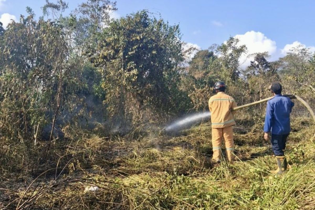 Asap Karhutla Kolaka Timur Belum Padam, 3 Kecamatan Terapkan Pembelajaran Daring Mulai Kamis