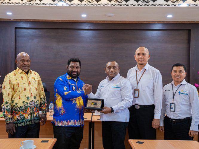 PLN dan Pemkab Mamberamo Raya Perkuat Sinergi, Ini Fokus Utama Tingkatkan Keandalan Listrik