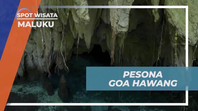 Goa Hawang di Maluku Tengah: Berenang di Dalam Gua dengan Air Jernih dan Bebatuan Eksotis