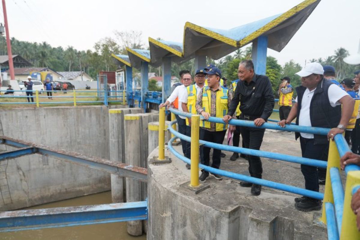 Menteri PU Uji Coba Irigasi Pante Lhong di Bireuen, 6.562 Hektare Sawah Kembali Teraliri Air Pascabencana
