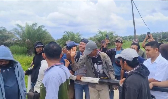 Konflik Lahan Kebun Sawit, Hampir Bentrok Anak Buah Dedi Handoko Vs Masyarakat Desa Sungai Raya Inhu