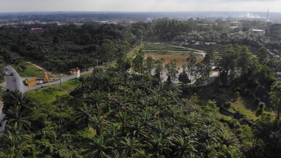 Kawasan Unilak Tetap Hijau, Bantah Terjadi Pengrusakan Lahan dan Kawasan Air