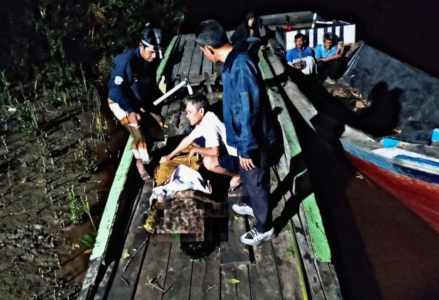 Seekor Buaya Seret Warga di Enok Inhil