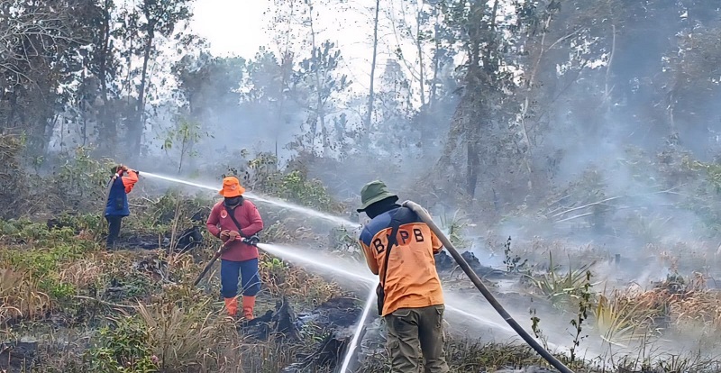 Darurat Karhutla Riau, 207 Titik Panas Mengepung, Kekuatan Udara Timpang
