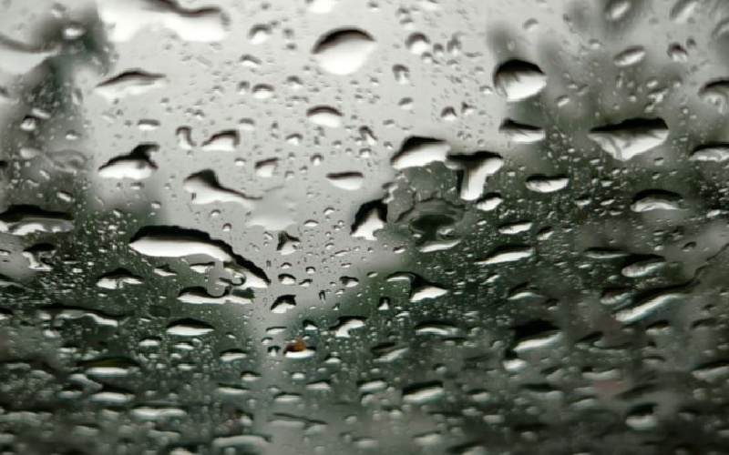 BMKG: Hujan disertai petir dan Angin Kencang Akan Melanda Sebagian Wilayah Riau