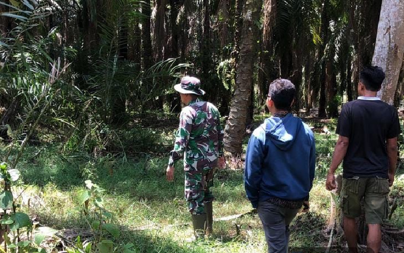 Serma Novrianto Cegah Terjadinya Karhutla dengan Rutin Patroli