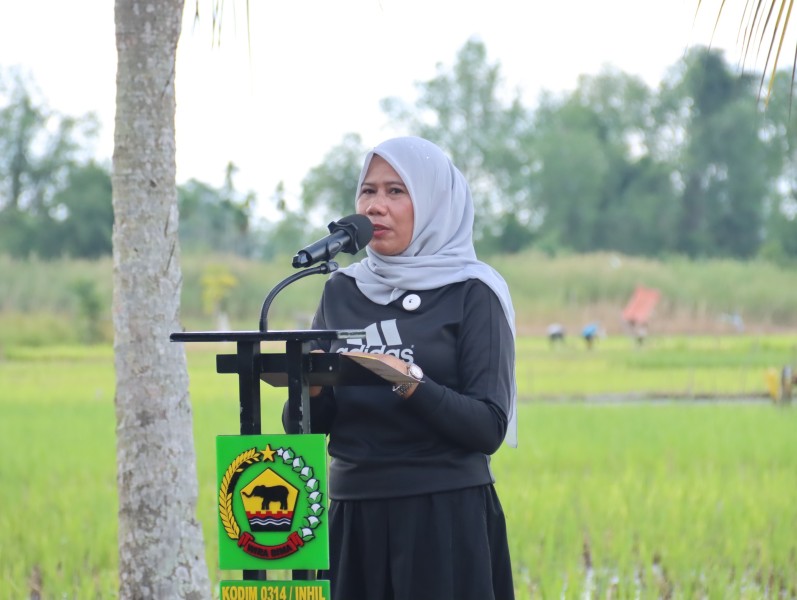 Wabup Inhil Hadiri Penanaman Padi Serentak di Tempuling Dorong Swasembada Pangan