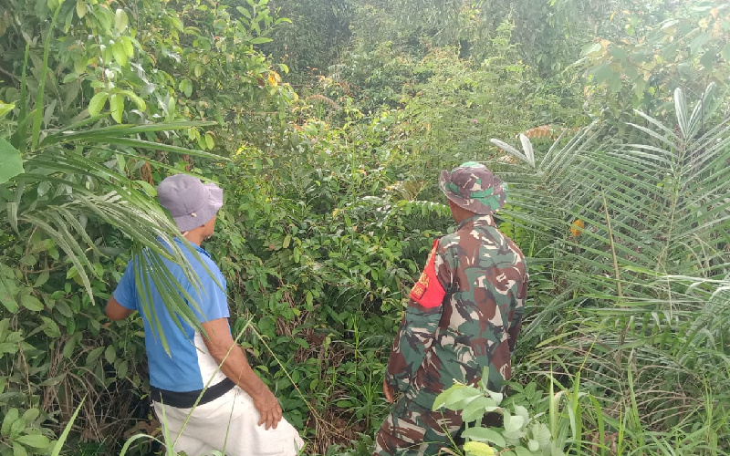 Babinsa Serka Suandi Pastikan Tidak Ada Aktivitas Pembukaan Lahan dengan Cara Membakar